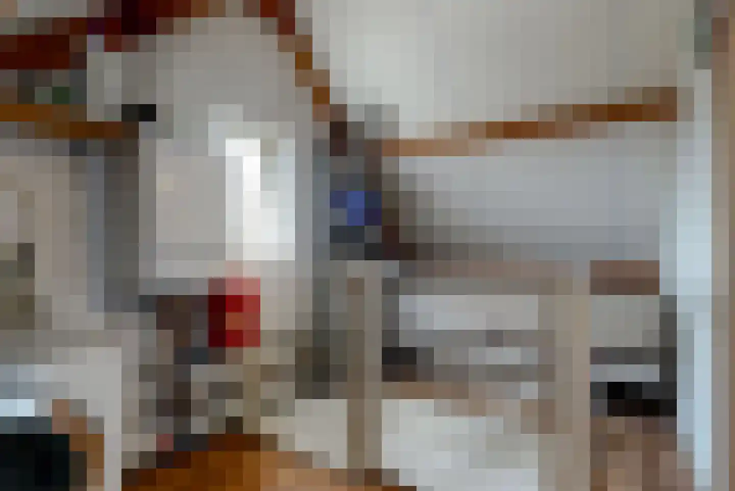 Enterij 18 Limmen thumbnail 23