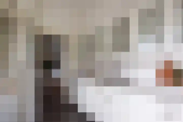 Enterij 18 Limmen thumbnail 25