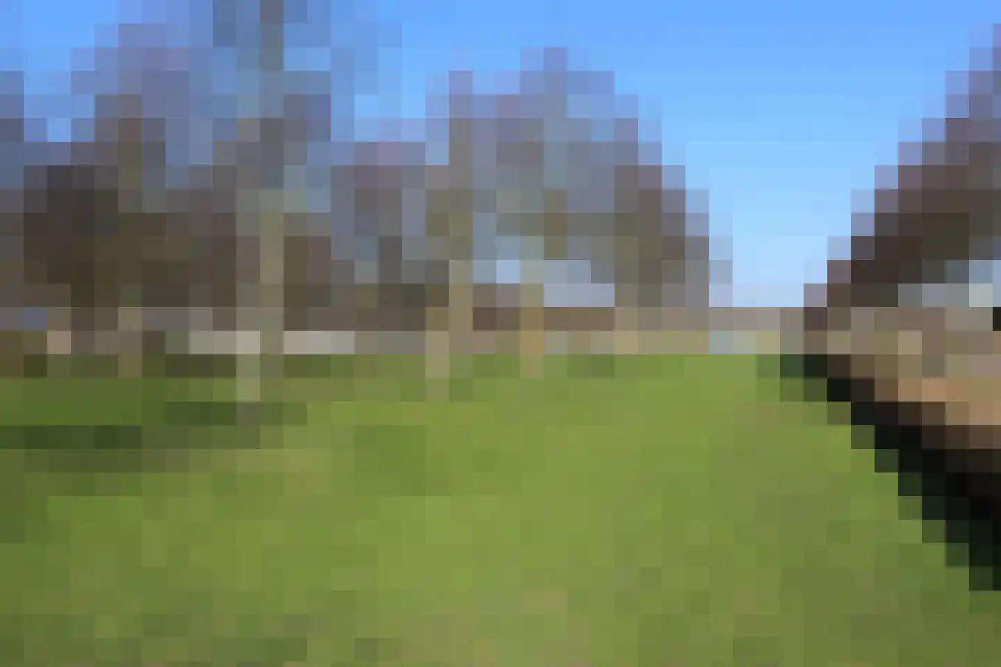 Enterij 18 Limmen thumbnail 30