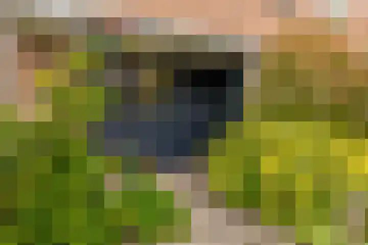 Enterij 18 Limmen thumbnail 34