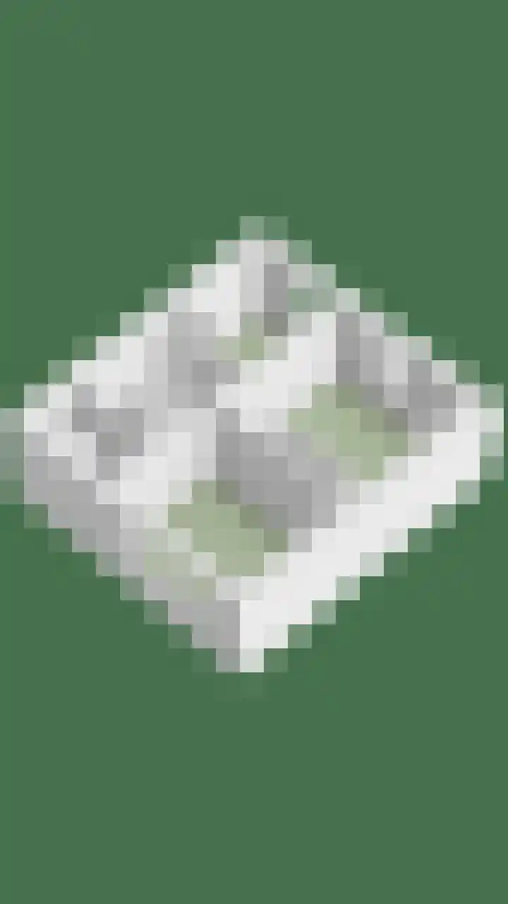 Enterij 18 Limmen thumbnail 35