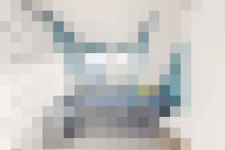 Enterij 39 Limmen thumbnail 38