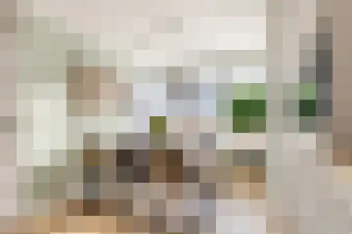 Enterij 39 Limmen thumbnail 4