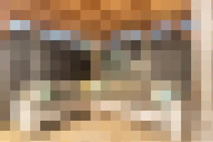 Enterij 39 Limmen thumbnail 43