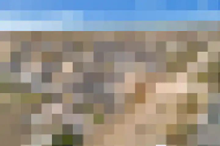 Enterij 39 Limmen thumbnail 48