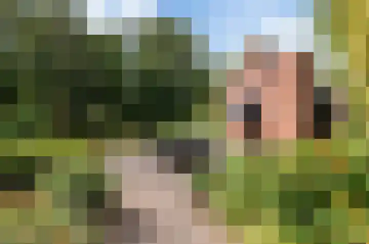 Enterveenweg 4 Enter thumbnail 25