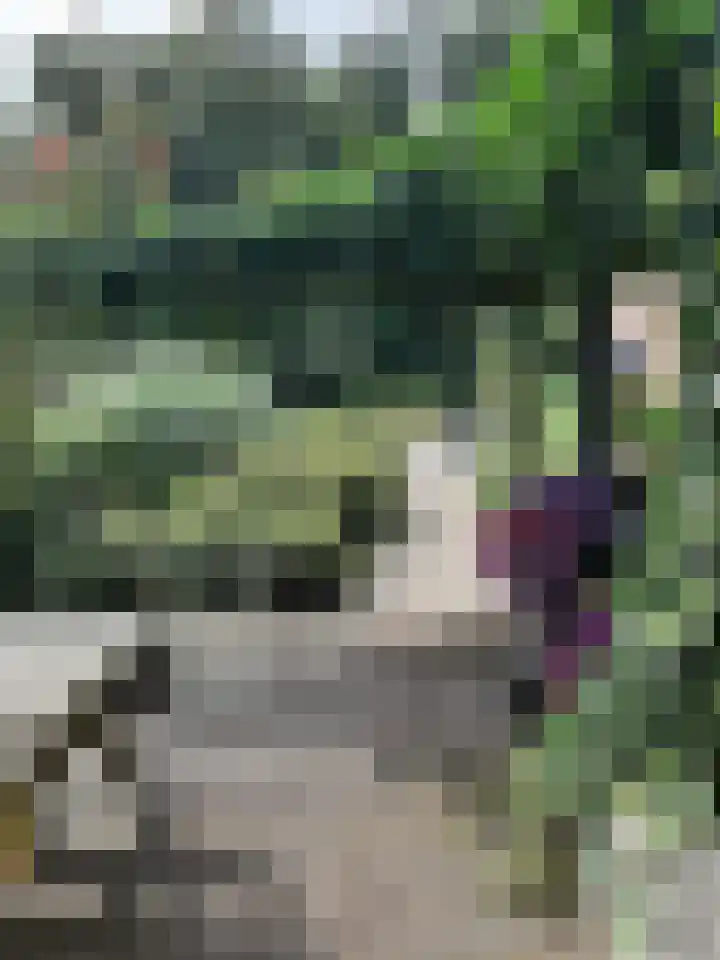 Enterveenweg 4 Enter thumbnail 28