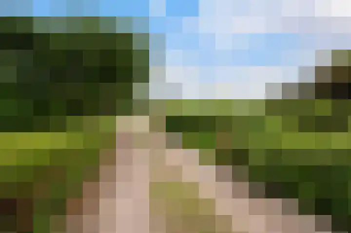 Enterveenweg 4 Enter thumbnail 30
