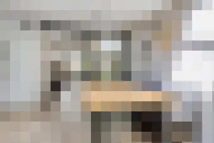 Entinge 122 Zuidlaren thumbnail 16