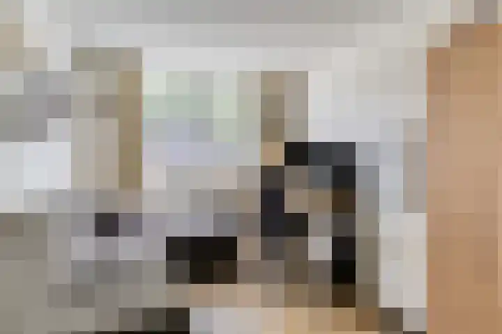 Entinge 122 Zuidlaren thumbnail 22