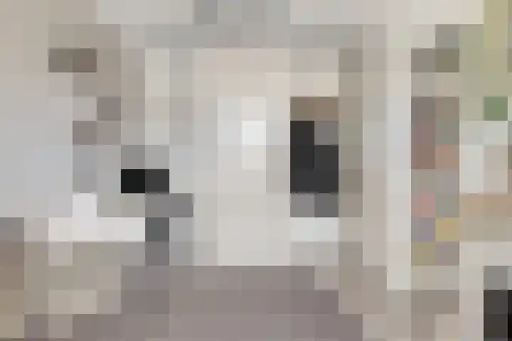 Entinge 122 Zuidlaren thumbnail 30