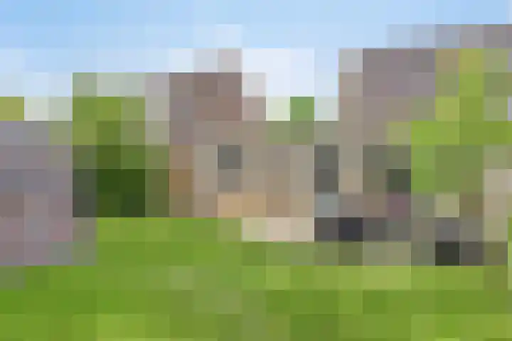 Entinge 122 Zuidlaren thumbnail 35