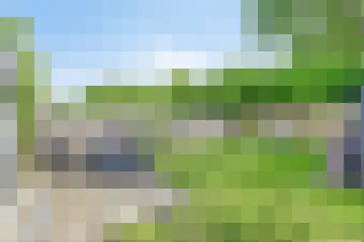 Entinge 122 Zuidlaren thumbnail 38