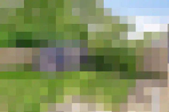 Entinge 122 Zuidlaren thumbnail 39