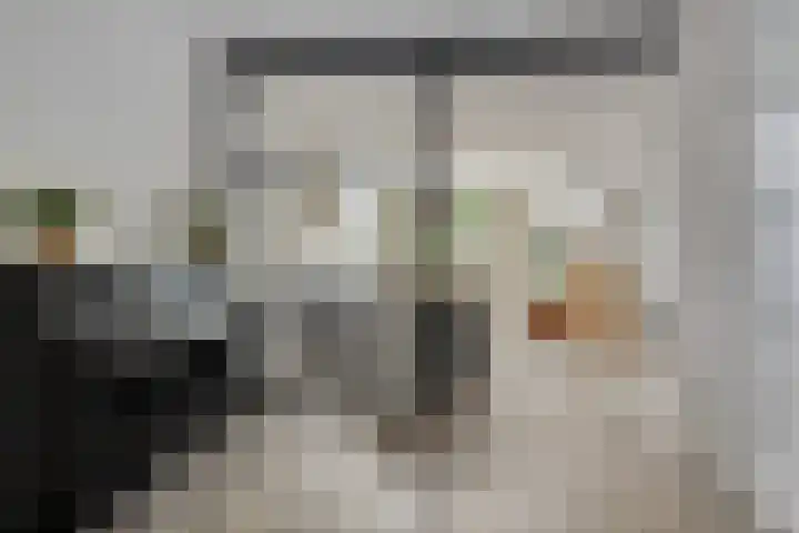 Entinge 122 Zuidlaren thumbnail 4