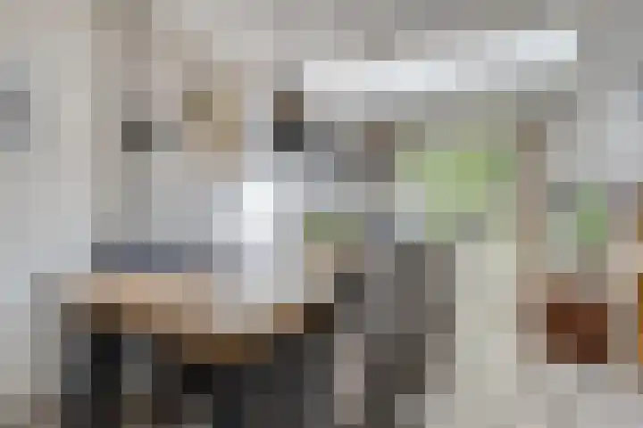 Entinge 122 Zuidlaren thumbnail 6