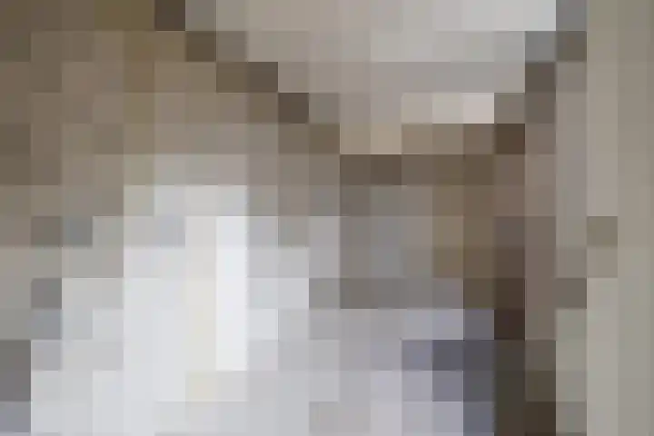 Entinge 31 Roden thumbnail 17