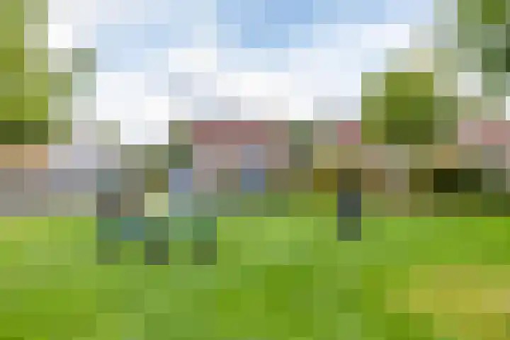 Entinge 31 Roden thumbnail 47