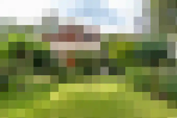 Entinge 45 Zuidlaren thumbnail 13