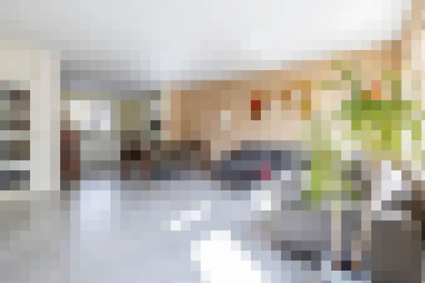 Entinge 45 Zuidlaren thumbnail 16