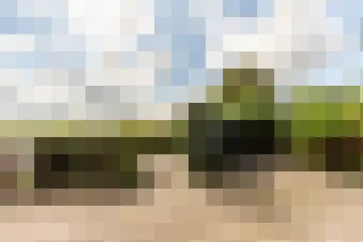 Entinge 45 Zuidlaren thumbnail 17