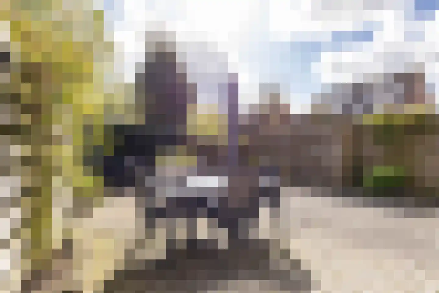 Entinge 45 Zuidlaren thumbnail 24