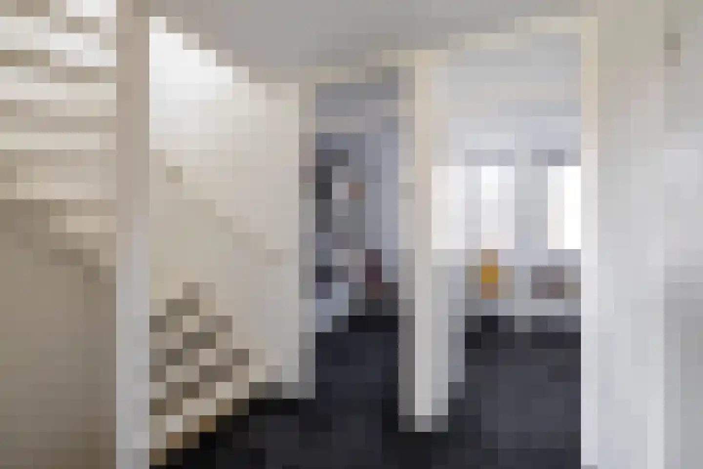 Entinge 45 Zuidlaren thumbnail 33