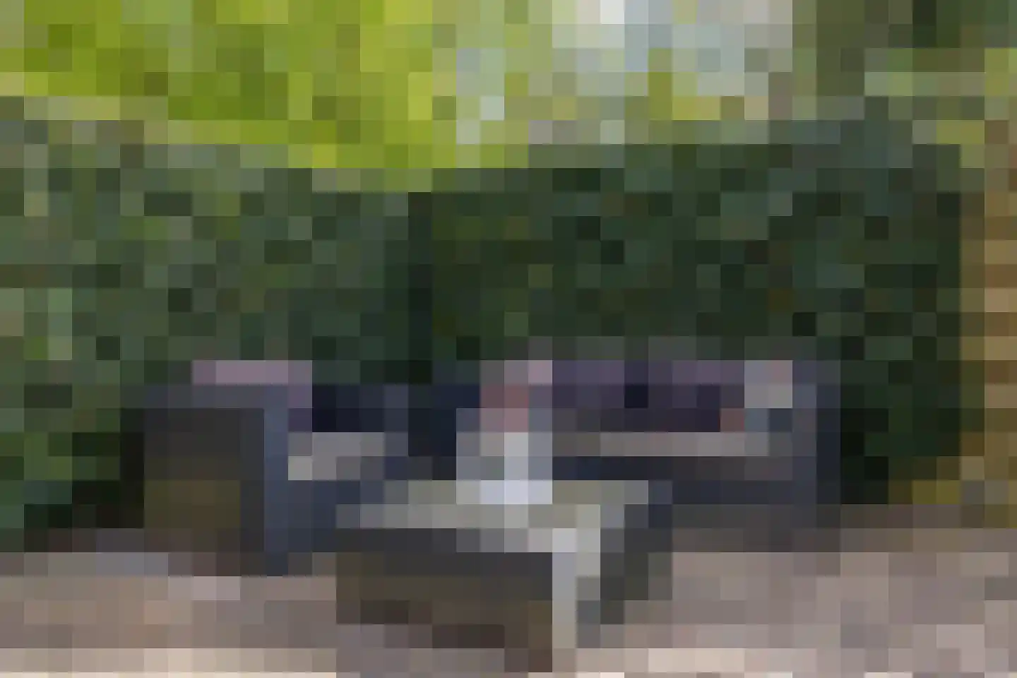 Entinge 45 Zuidlaren thumbnail 5
