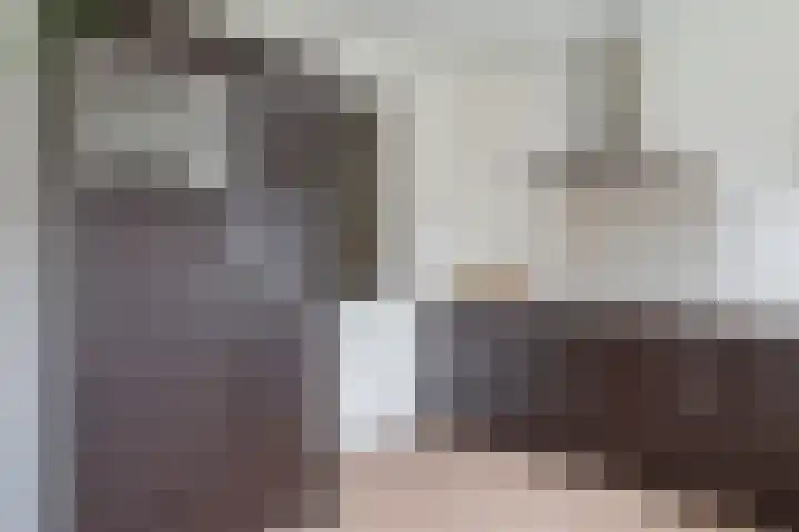 Entingestraat 13 Sleen thumbnail 20