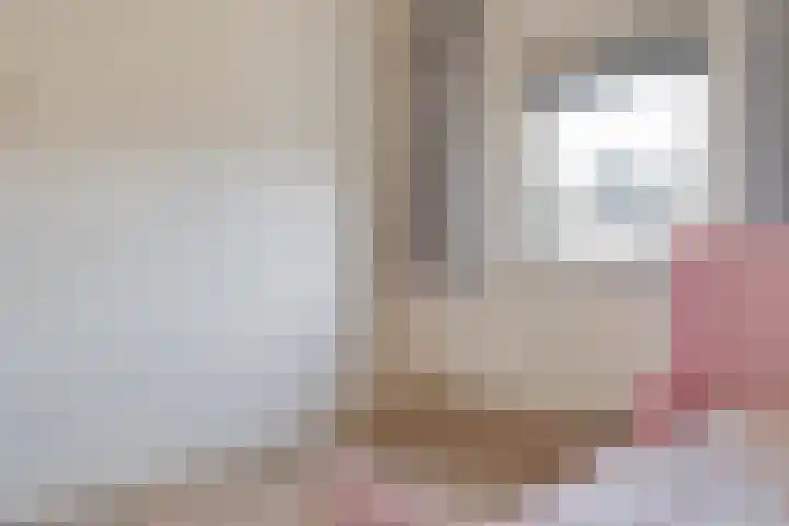 Entingestraat 13 Sleen thumbnail 35