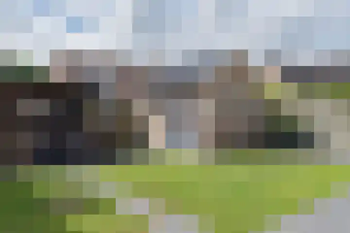 Entingestraat 13 Sleen thumbnail 37