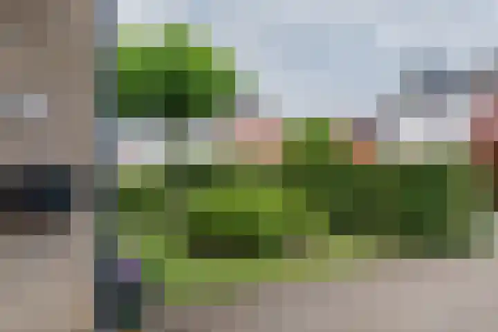 Entingestraat 13 Sleen thumbnail 4