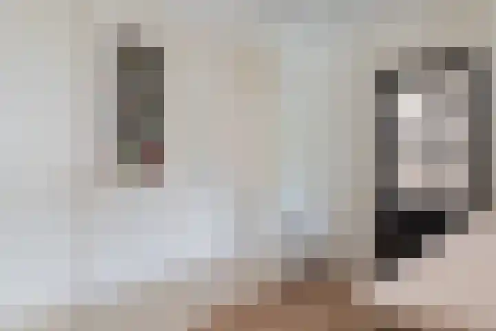 Entingestraat 13 Sleen thumbnail 8
