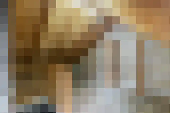 Entingestraat 9 Sleen thumbnail 22
