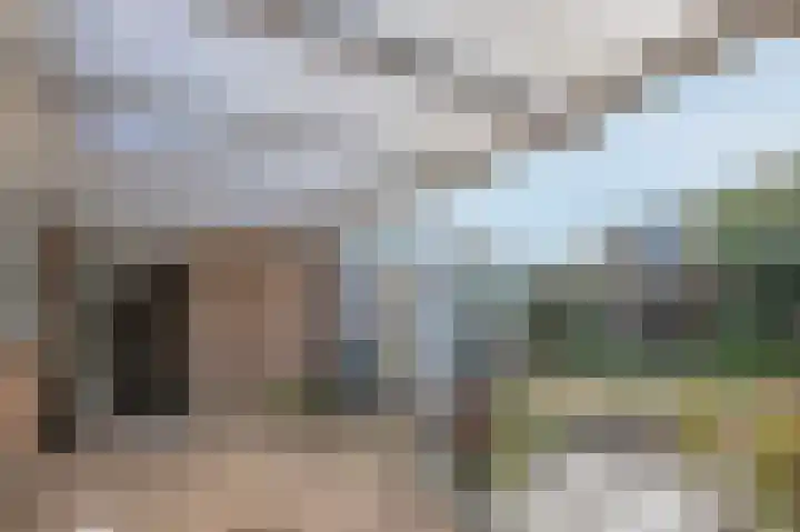 Entingestraat 9 Sleen thumbnail 35