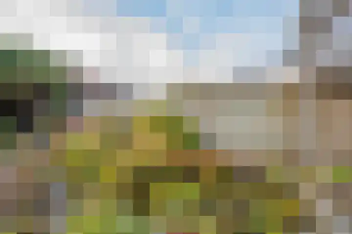 Entingestraat 9 Sleen thumbnail 36