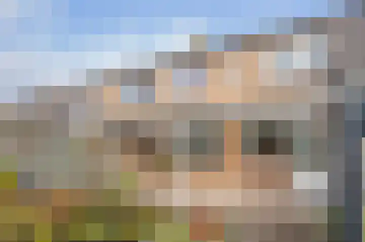 Entingestraat 9 Sleen thumbnail 37
