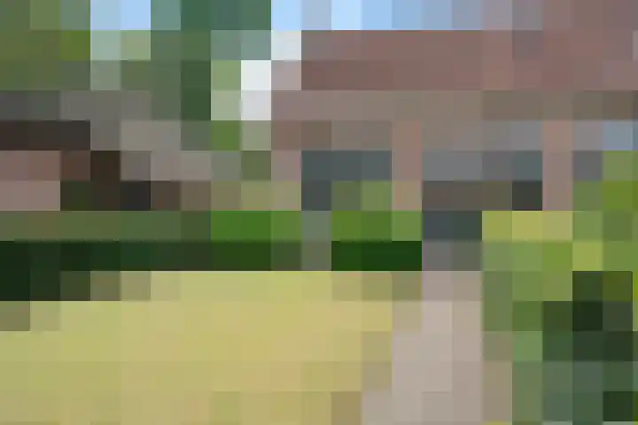 Entingheweg 2 Dwingeloo