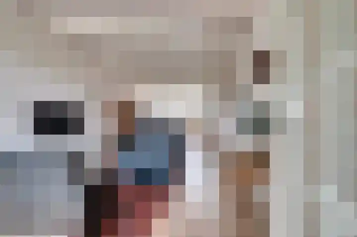 Entingheweg 2 Dwingeloo thumbnail 10