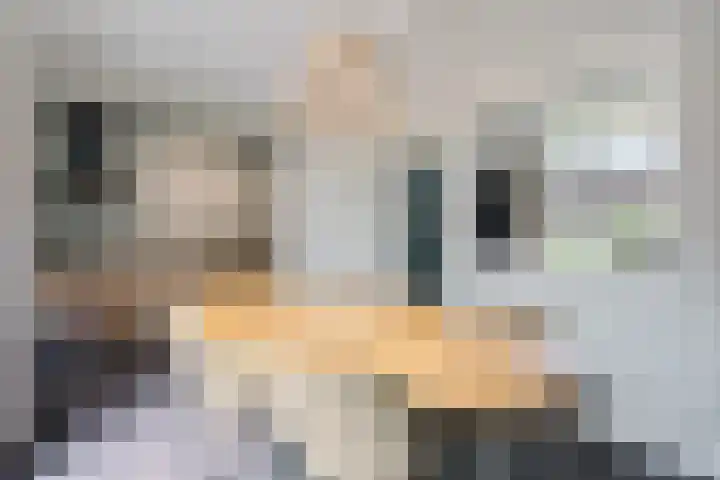 Entingheweg 2 Dwingeloo thumbnail 11