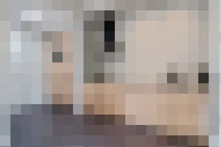 Entingheweg 2 Dwingeloo thumbnail 12