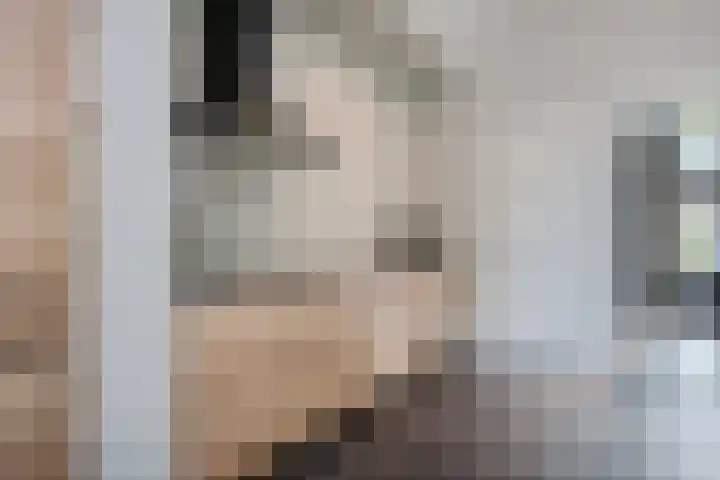 Entingheweg 2 Dwingeloo thumbnail 14