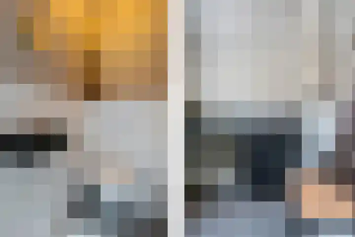 Entingheweg 2 Dwingeloo thumbnail 16