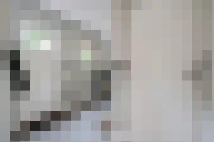Entingheweg 2 Dwingeloo thumbnail 17