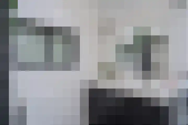 Entingheweg 2 Dwingeloo thumbnail 20