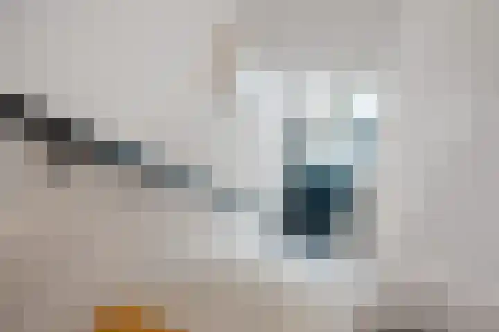 Entingheweg 2 Dwingeloo thumbnail 21