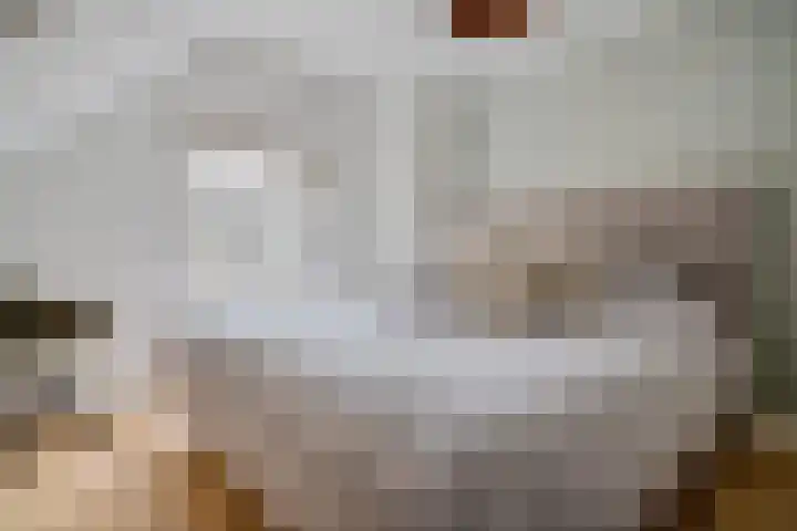 Entingheweg 2 Dwingeloo thumbnail 23