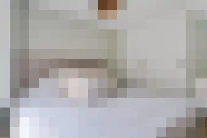 Entingheweg 2 Dwingeloo thumbnail 24