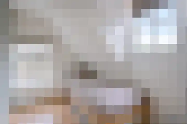 Entingheweg 2 Dwingeloo thumbnail 25