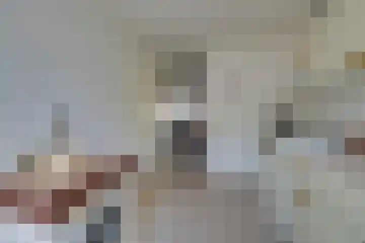 Entingheweg 2 Dwingeloo thumbnail 28